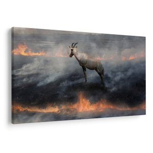 Bild auf Leinwand - Gämse in Flammen