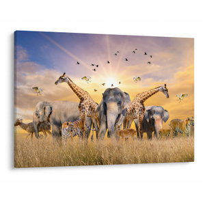 Tablou - Animae din Africa (V022143V10070)