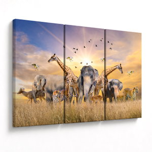 Tablou - Animae din Africa (V022143V120803PCS)