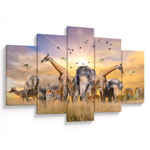 Tablou - Animae din Africa (V022143V150105)