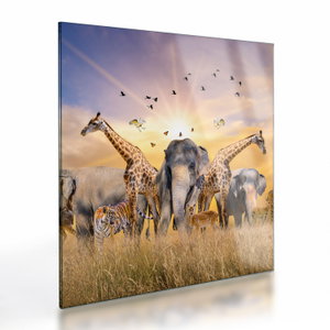 Tablou pe sticlă - Animae din Africa (V022143V4040GD)