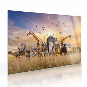 Tablou pe sticlă - Animae din Africa (V022143V7050GD)