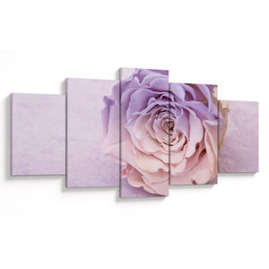 Egy rózsa virág részlete (V022149V150805PCS)