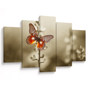 Tablou cu fluture