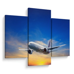 Tablou cu avion