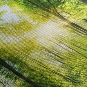 Schilderij - Ochtendschemering in het bos (5)
