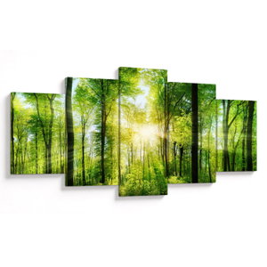 Obraz - Svítání v lese (V022345V150805PCS)