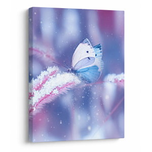Obraz - Motýli v zimě (V022374V3040)