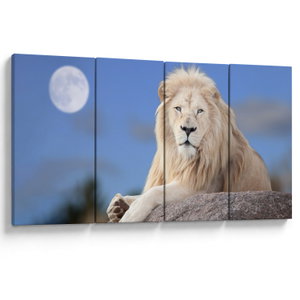 Obraz - Biely lev (1)