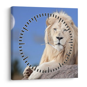 Obraz - Biely lev (s hodinami) (V022476V3030C)