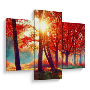 Bild auf Leinwand - Herbstlandschaft