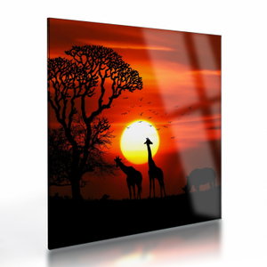 Glasschilderij - Silhouetten van dieren bij zonsondergang (V022600V3030GD)