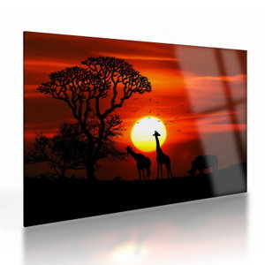 Glasschilderij - Silhouetten van dieren bij zonsondergang (V022600V7050GD)