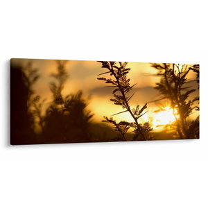 Schilderij - Zonsondergang achter bomen