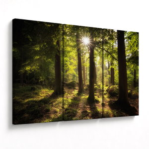 Schilderij - Droombos (V022623V120803PCS)