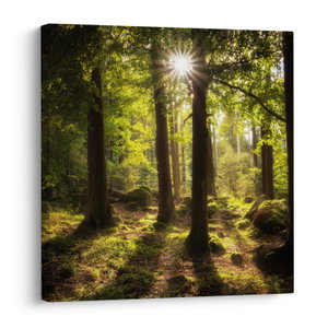 Schilderij - Droombos (V022623V3030)