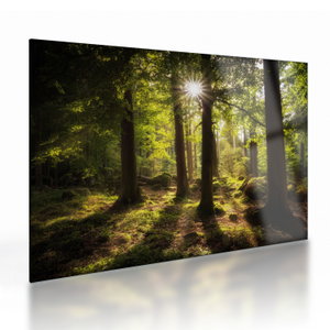 Glasschilderij - Droombos (V022623V7050GD)
