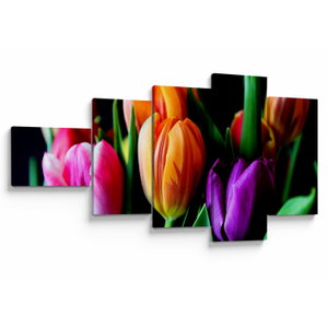 Tulipánok képe fekete alapon (V022664V11060)