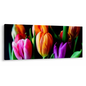 Tulipánok képe fekete alapon (V022664V12050)