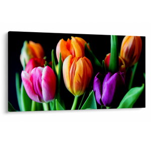 Tulipánok képe fekete alapon (V022664V12070)