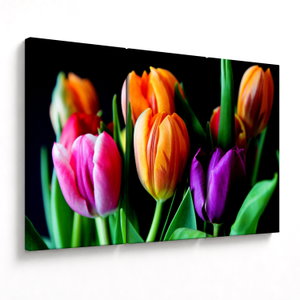 Tulipánok képe fekete alapon (V022664V120803PCS)