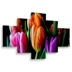 Tulipánok képe fekete alapon (V022664V12570)