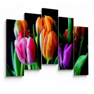 Tulipánok képe fekete alapon (V022664V12590)