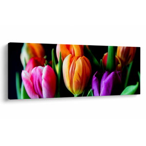 Tulipánok képe fekete alapon (V022664V14558)