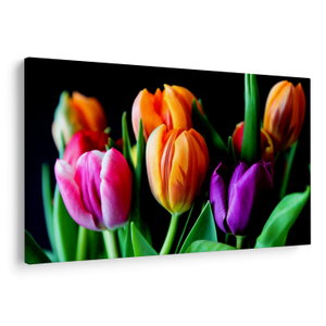 Tulipánok képe fekete alapon (V022664V150100)
