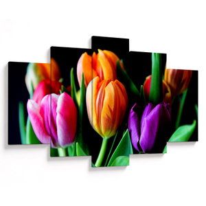 Tulipánok képe fekete alapon (V022664V150105)