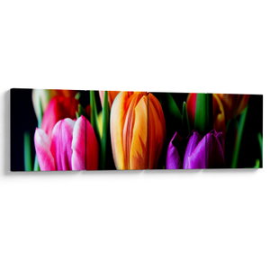 Tulipánok képe fekete alapon (V022664V16040)