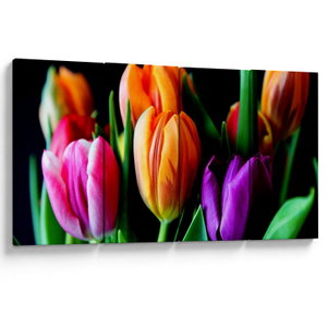 Tulipánok képe fekete alapon (V022664V16080)