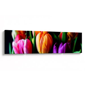 Tulipánok képe fekete alapon (V022664V17050)