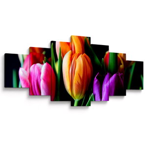 Tulipánok képe fekete alapon (V022664V210100)