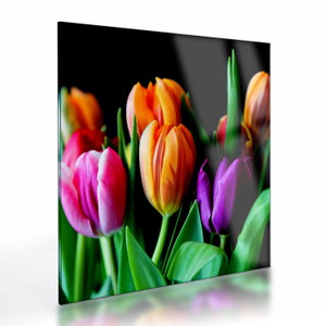 Tulipánok képe fekete alapon (üvegen) (V022664V4040GD)