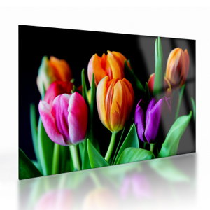Tulipánok képe fekete alapon (üvegen) (V022664V7050GD)