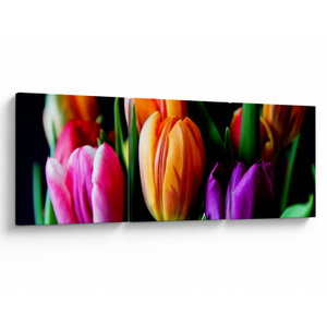 Tulipánok képe fekete alapon (V022664V9030)