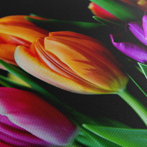 Tulipánok képe fekete alapon (5)