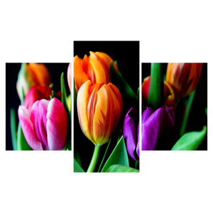 Tulipánok képe fekete alapon (6)