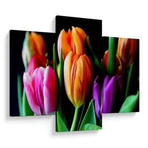 Tulipánok képe fekete alapon (1)