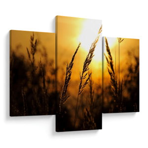 Schilderij - Zonsondergang