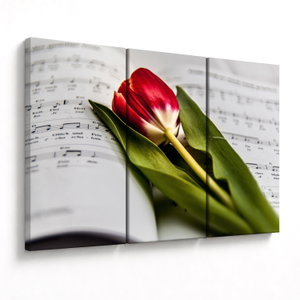 Egy vörös tulipán képe