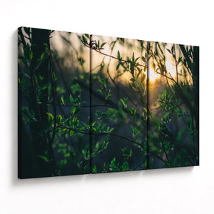 Schilderij - Zonneschijn door boomtakjes