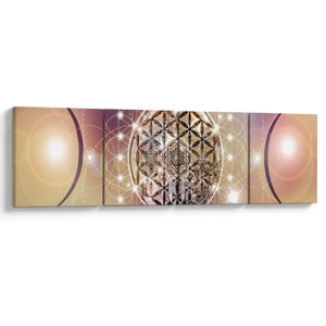 Schilderij - Mandala met elementen (V022953V16040)