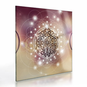 Glasschilderij - Mandala met elementen (V022953V4040GD)
