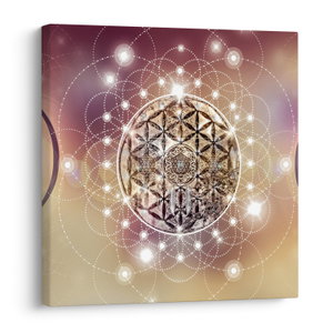 Schilderij - Mandala met elementen (V022953V5050)