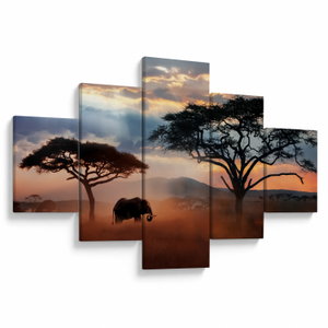 Obraz - Národný park Serengeti, Tanzánia, Afrika