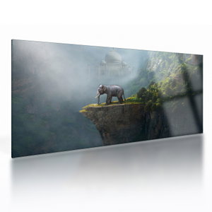 Tablou pe sticlă - Elefant în vârful Taj Mahalului (V023050V10050GD)