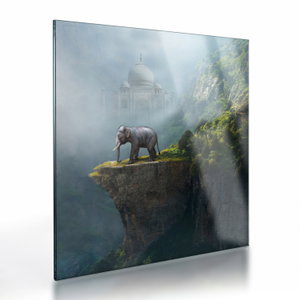 Tablou pe sticlă - Elefant în vârful Taj Mahalului (V023050V4040GD)