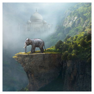 Obraz - Slůně na vrcholku Taj Mahal (6)